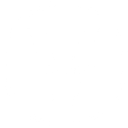 VERITACE GUARANTEE