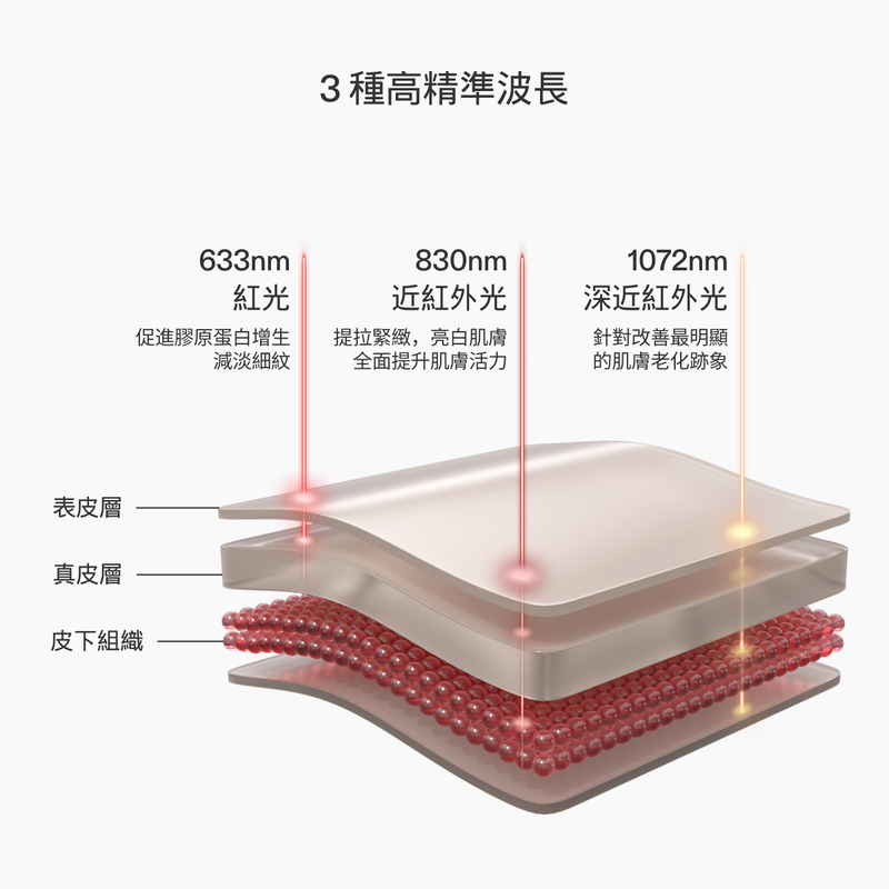infographic of layers of skin with wavelengths explained chinese